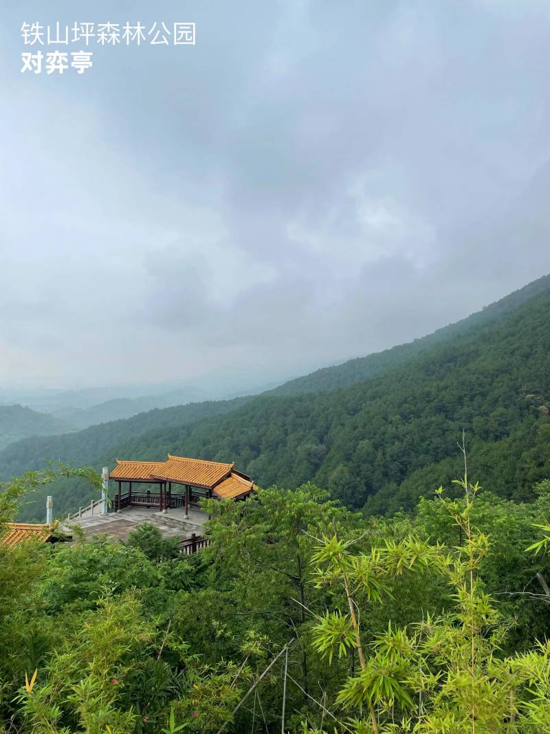 玉峰山森林公园门票多少钱（玉峰山要门票吗）