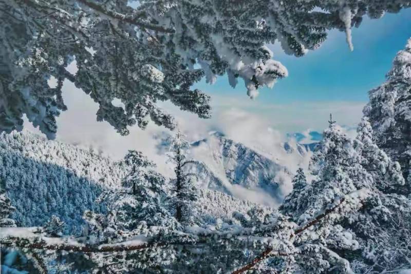 西岭雪山游玩攻略一日游（雁荡山旅游攻略三日游）