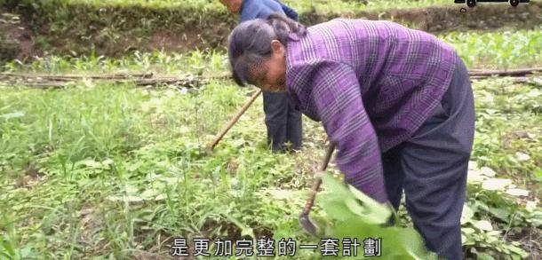 纪录片《百山百川行》第5集横断山（纪录片《无穷之路》）