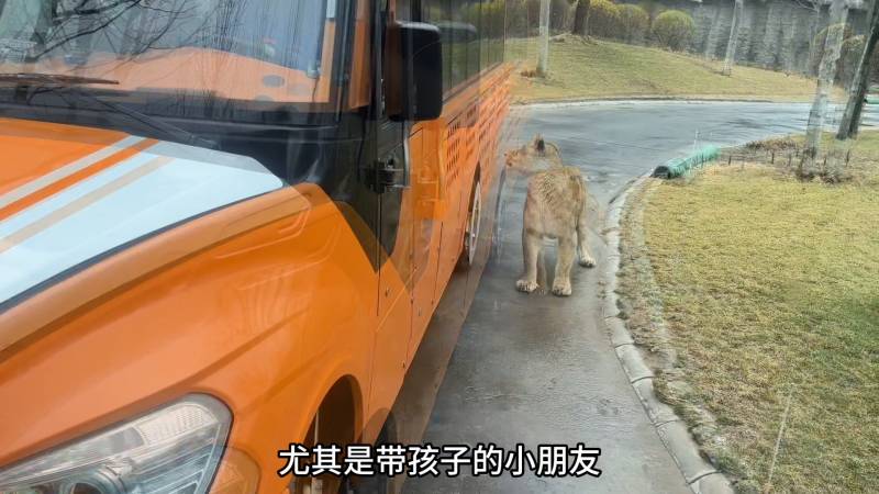 北京野生动物园（北京野生动物园一日游攻略）