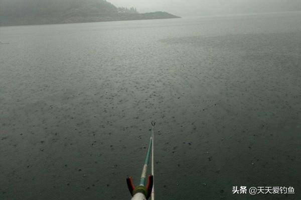 夏季雨天钓鲤鱼的3个诀窍小雨钓浅水（什么样的气压天气适宜钓鱼）