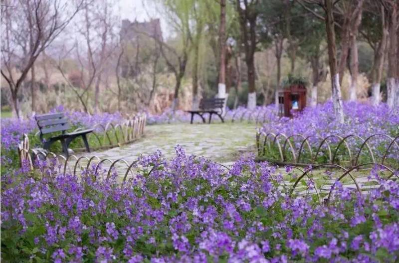 旅拍VLOG之常熟沙家浜风景区（沙家浜景区介绍）