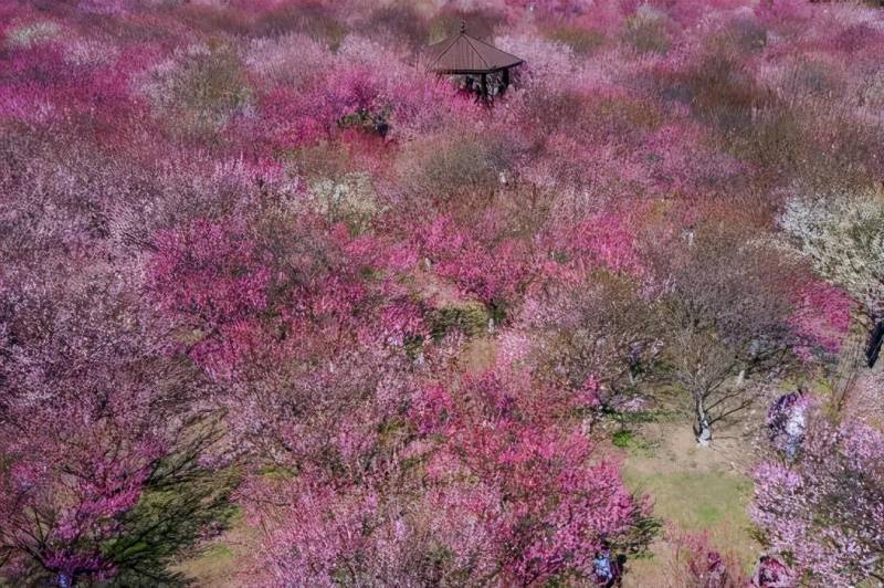 旅拍VLOG之常熟沙家浜风景区（沙家浜景区介绍）