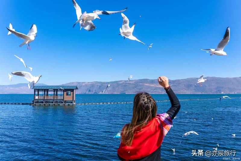 國慶假期雲南旅遊七天六晚純玩攻略，精選景點路線與周邊遊推薦