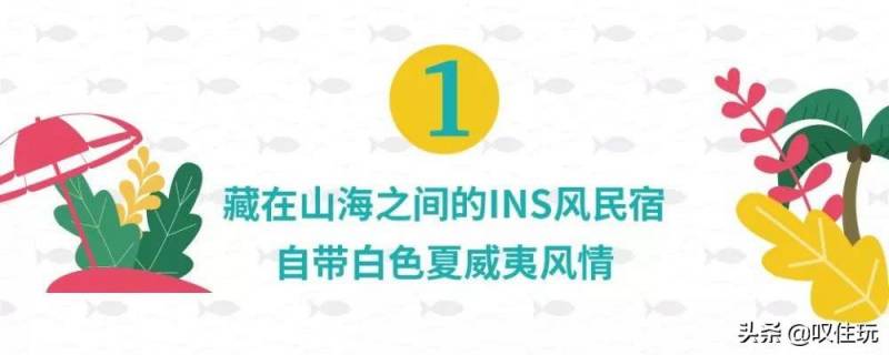 漳州生活攻略微博，网红打卡美食与当地人秘境探索，带你领略不一样的漳州生活圈