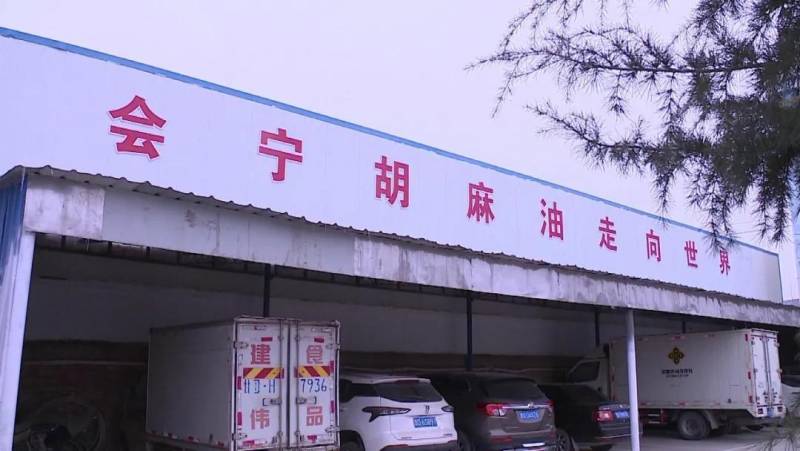 白银市会宁建伟食用油引领 会宁亚麻籽产业迈向现代化，打造甘肃会宁亚麻籽第一品牌