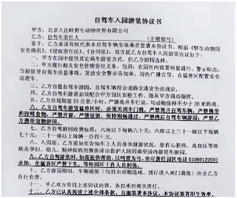 八达岭猛虎伤人真实影像母女俩不听劝阻，悲剧重演险情堪忧，幸存者面临无工作毁容困境