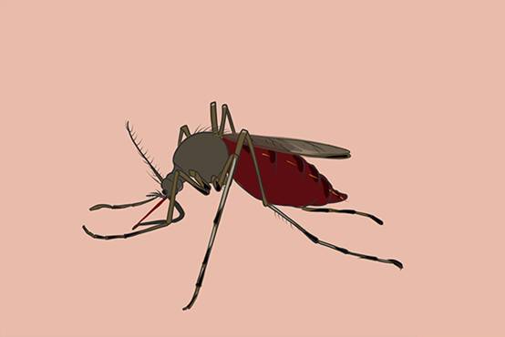 蚊子为什么总咬你？揭秘容易被蚊子青睐的五大原因