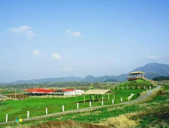 歙县上海市练江牧场，城市边的绿色天堂，体验纯净牧场的生态之旅