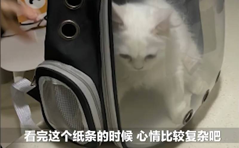 肿瘤晚期主人给猫咖留纸条托付爱猫，心酸告别，望你替我继续宠爱它