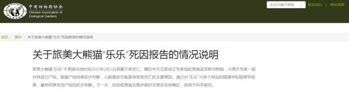 ‘乐宝归乡’，大熊猫乐乐遗体回国，上海动物园举行庄重告别仪式，市民献竹笋寄托哀思