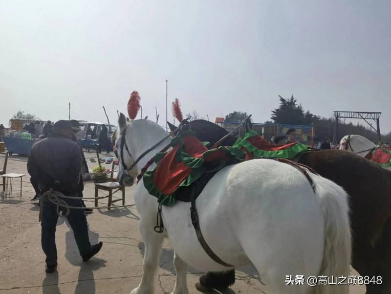 大山羊娛樂，二十年後重遊家鄕山頂公園，娛樂項目豐富但細節仍需打磨