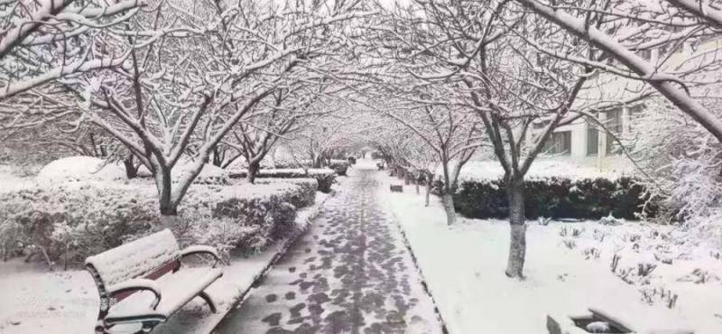 濰坊科技學院版美麗中國，雪中校園，綻放科技與自然交融的靜謐之美