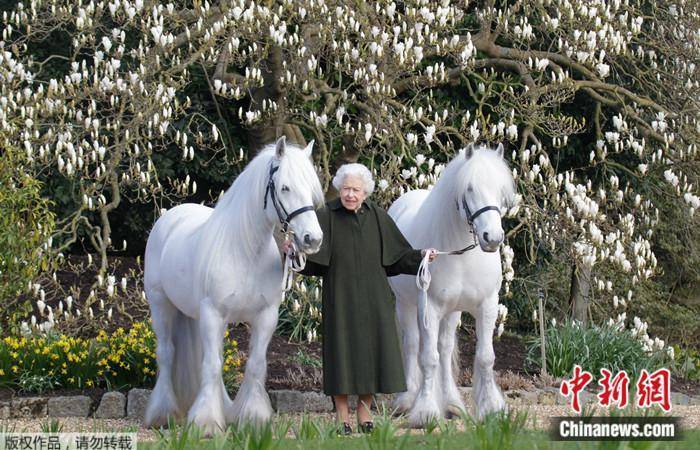 英女王96岁生日，简约庆祝活动，官方发布与小马温馨合影