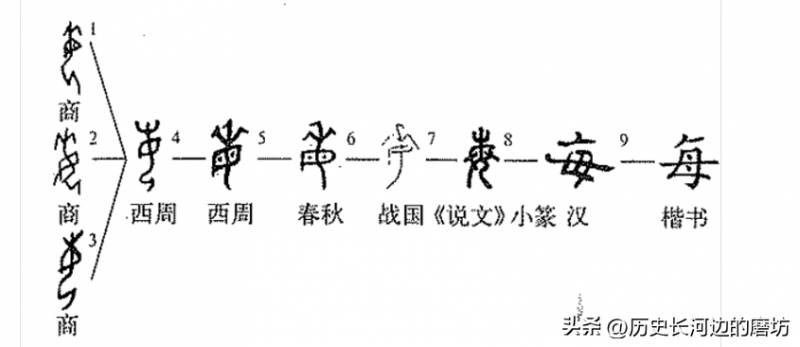 美字的笔顺探秘，从汉字笔画顺序解析“美”字的深层文化内涵