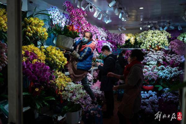 逛上海龙大花市，繁花似锦间感受春意提前绽放的魅力