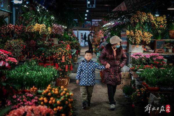 逛上海龙大花市，繁花似锦间感受春意提前绽放的魅力