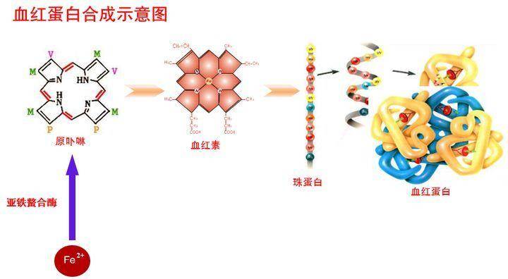 静脉注射针头颜色有什么含义？揭秘不同颜色针头在医疗应用中的区别与奥秘