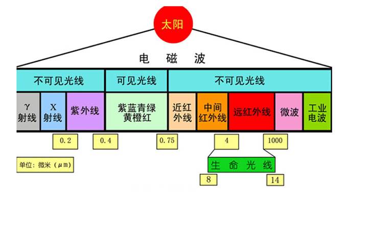 静脉注射针头颜色有什么含义？揭秘不同颜色针头在医疗应用中的区别与奥秘