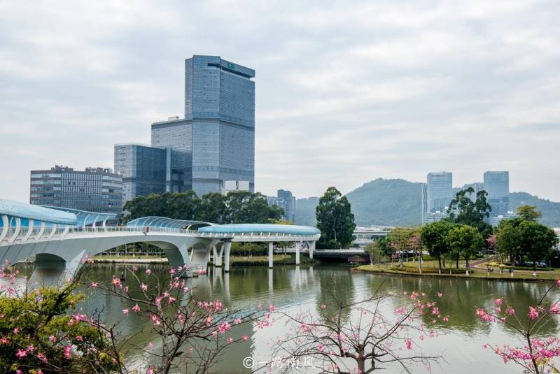 蕉门公园，广州南沙静谧美景，沿蕉门河而建的高颜值免费休闲胜地，游客稀少享清幽。