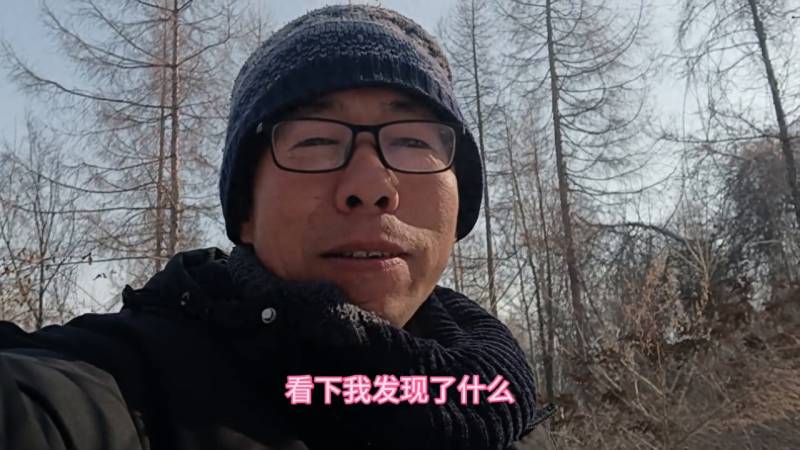 豆莢兩米長，罕見巨型山豌豆引人注目，植株頂耑結滿豐碩果實！雪地裡的奇跡生長