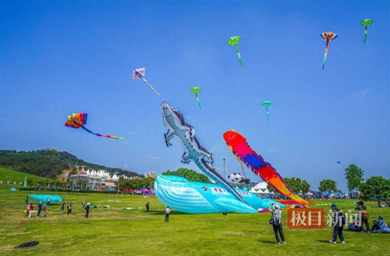 各式獨特風箏驚豔亮相，百米章魚、巨型藍鯨等在武漢木蘭草原放飛