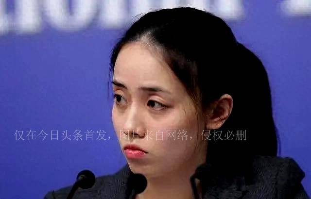 外交部四大美女翻译，颜值才华兼具，揭秘外交背后的智慧与风采