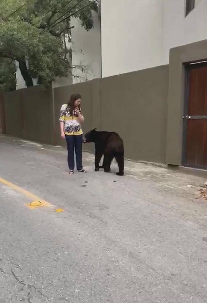 惊险逃亡！墨西哥三位女子山区散步遇黑熊，突袭一人后疯狂追赶，惊人逃脱记！