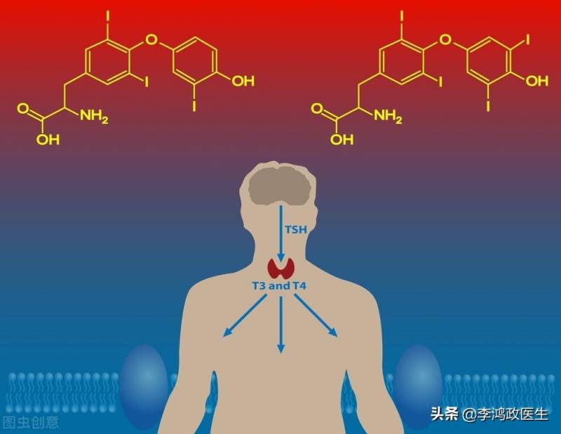 男生为什么最后几下重？健身不成反受伤，医生众说纷纭，最终专家揭秘，竟是运动过度导致肌纤维损伤