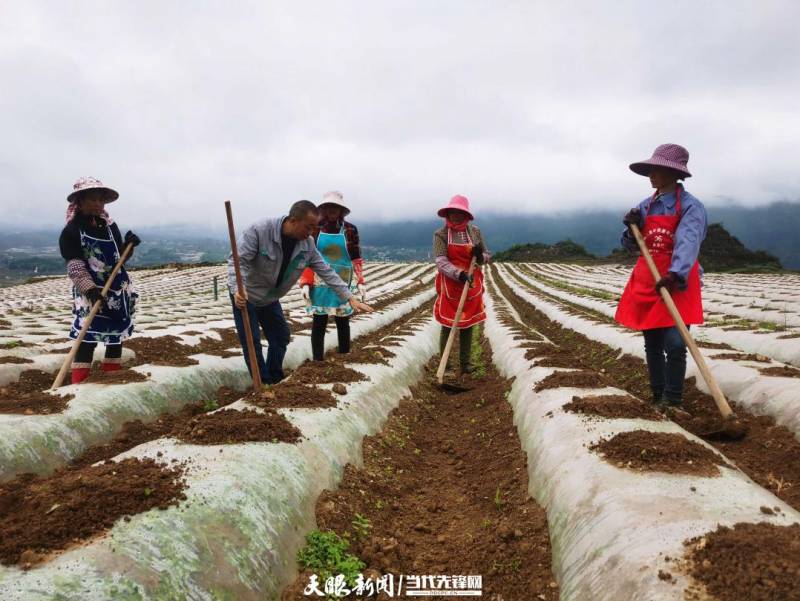 3分钟讲解云端扫尾挂，企业高效管理新路径，实现办公效率与合规并重 参考补充内容，毕节市烟草局（公司）案例解析，云端课堂普纪普法，田间地头学习培训，助力企业转型升级