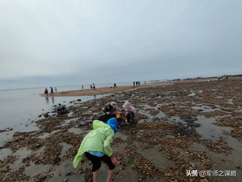 来看看大连高端农家乐啥样，凤鸣岛海边农家院，奢华三天两夜生态体验之旅