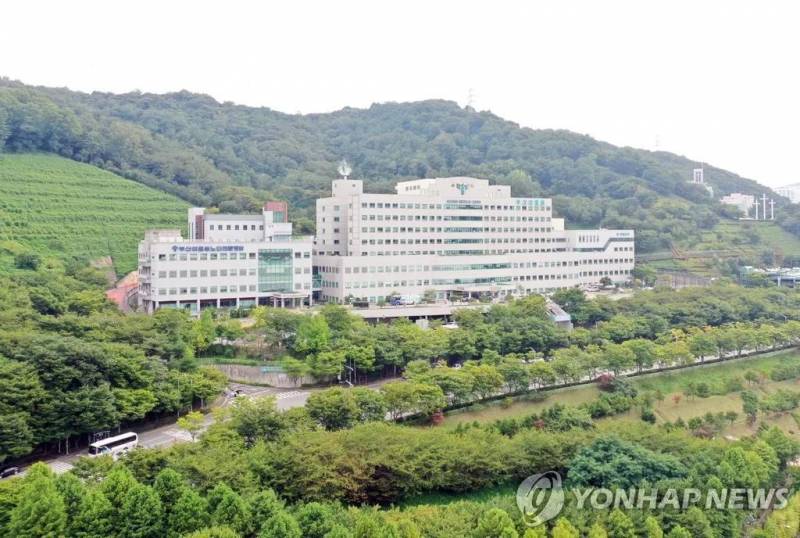 釜山医疗观光，数字孪生技术助力创新医疗服务，引领国际医疗旅游新风尚