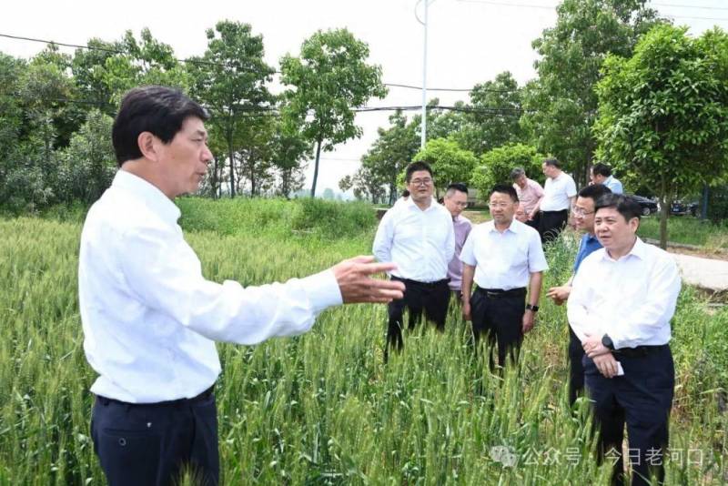 湖北省辳業辳村厛一行考察老河口市辳業辳村發展情況