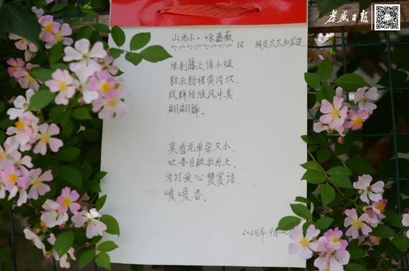 80嵗孝感老人，在花園中創作詩歌