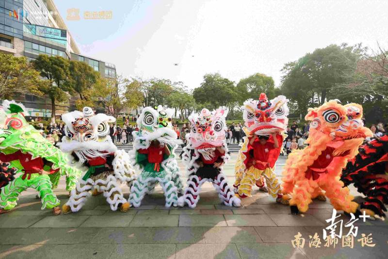 西樵飞鸿论坛的微博，【独家观察】西樵，体育智慧交融，佛山西部崛起的新引擎亮相