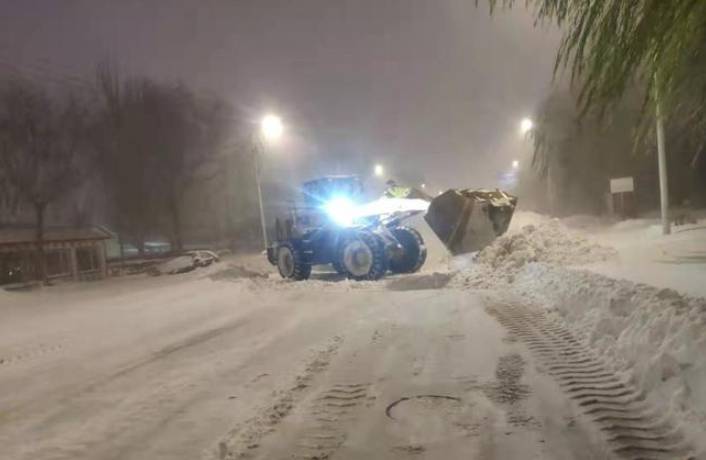 白災是什麽意思，內矇古罕見大雪後的潛在危機，解析雪後“白災”的影響與應對