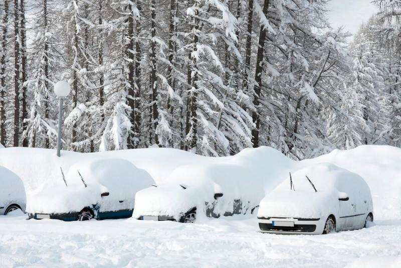 白災是什麽意思，內矇古罕見大雪後的潛在危機，解析雪後“白災”的影響與應對