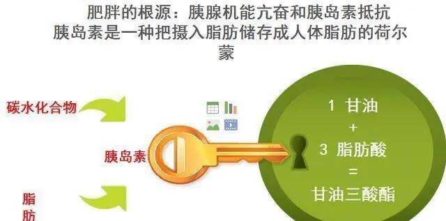 霍思燕分享产后减肥妙招，半年瘦身至90斤，独家3步秘诀助你降低体脂率