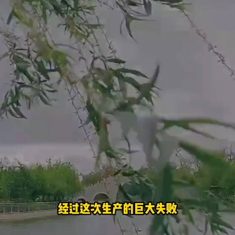 南京姐地位全过程，从美龄粥到美龄姐，一路创业传奇 #女性力量#南京精神#励志故事#