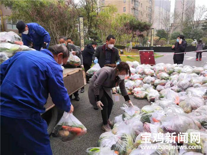 宝鸡高新区昌盛路社区，初春三月添新绿，齐心协力抗疫情 志愿服务暖人心潮涌动添活力。