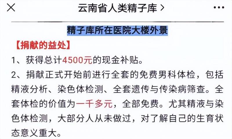 精子告急，多地人类精子库告急，生育难题背后的多元因素解析