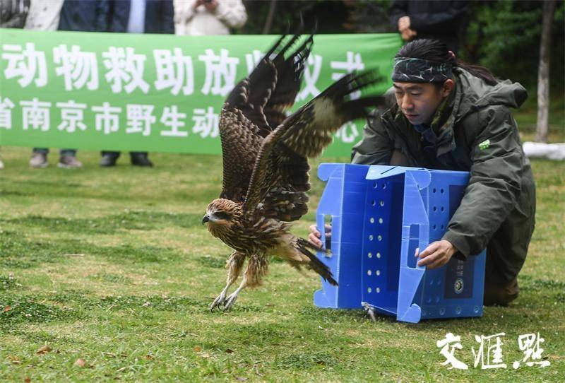 江苏爱鸟周启动，每年4月20日至26日，倡导人与自然和谐共生