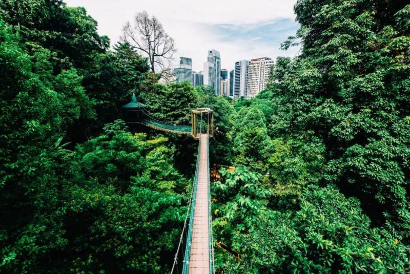 吉隆坡湖滨公园，都市繁华中的宁静网红打卡胜地