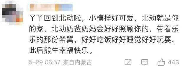 丫丫启程回京，温馨画面感人至深！网友热议，久别重逢，判若两熊！