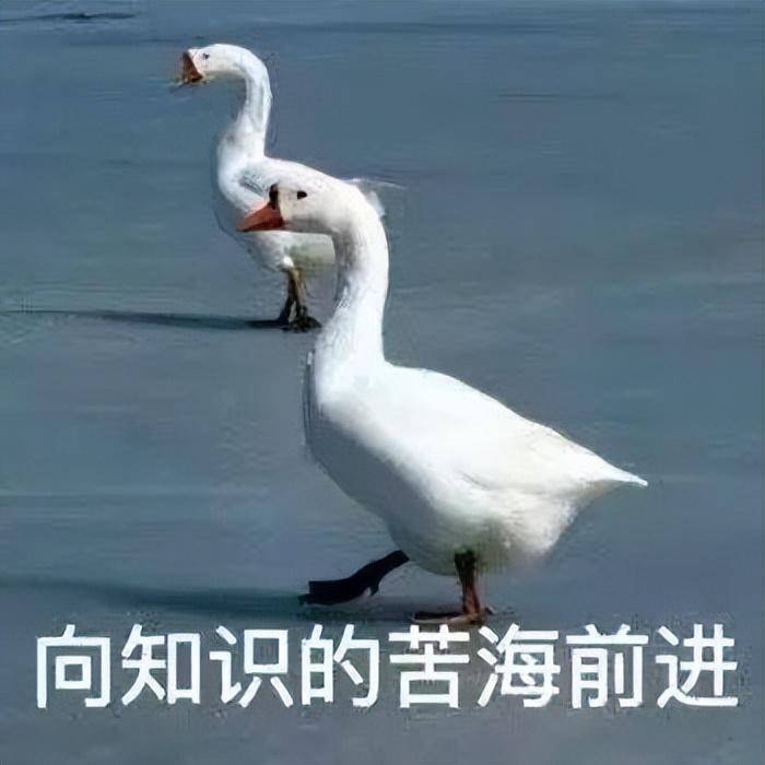 终于搞懂闭口是什么了，闭口与逆光疹，你到底是哪种皮肤问题？