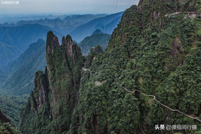 湘粤两省的交界处有一座莽山，湖南“绿色宝库”横跨两地，山高林密，孕育特有剧毒蛇及其他珍稀生态资源。