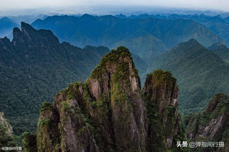 湘粤两省的交界处有一座莽山，湖南“绿色宝库”横跨两地，山高林密，孕育特有剧毒蛇及其他珍稀生态资源。