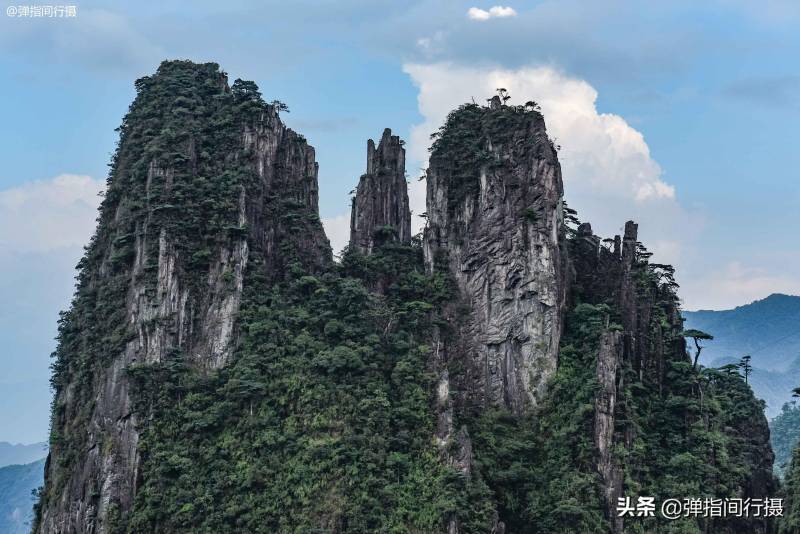 湘粤两省的交界处有一座莽山，湖南“绿色宝库”横跨两地，山高林密，孕育特有剧毒蛇及其他珍稀生态资源。