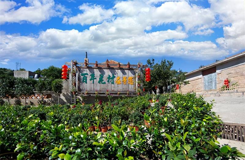 榮成根雕技藝，匠心獨運，這個夏天，我在威海榮成石島等你共賞藝術之美