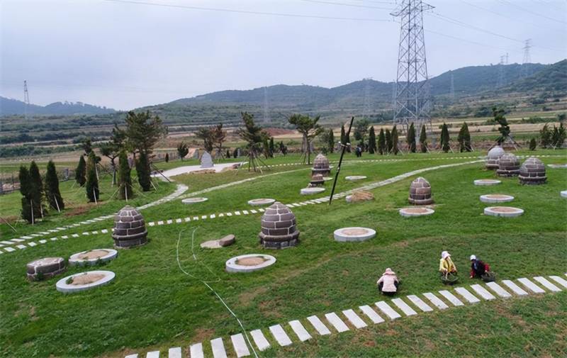 榮成根雕技藝，匠心獨運，這個夏天，我在威海榮成石島等你共賞藝術之美